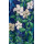 product color
